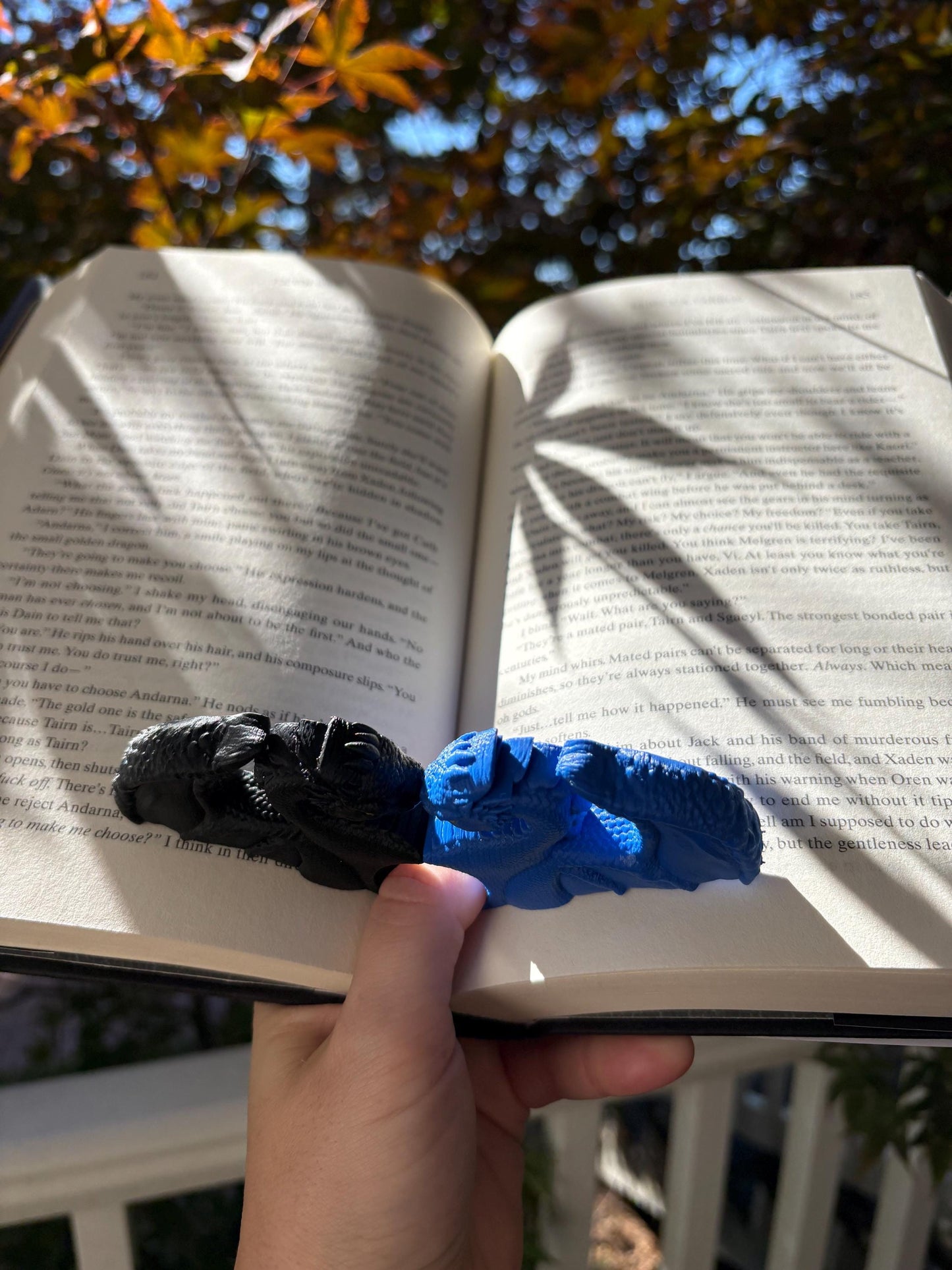 Dragon lovers page holder
