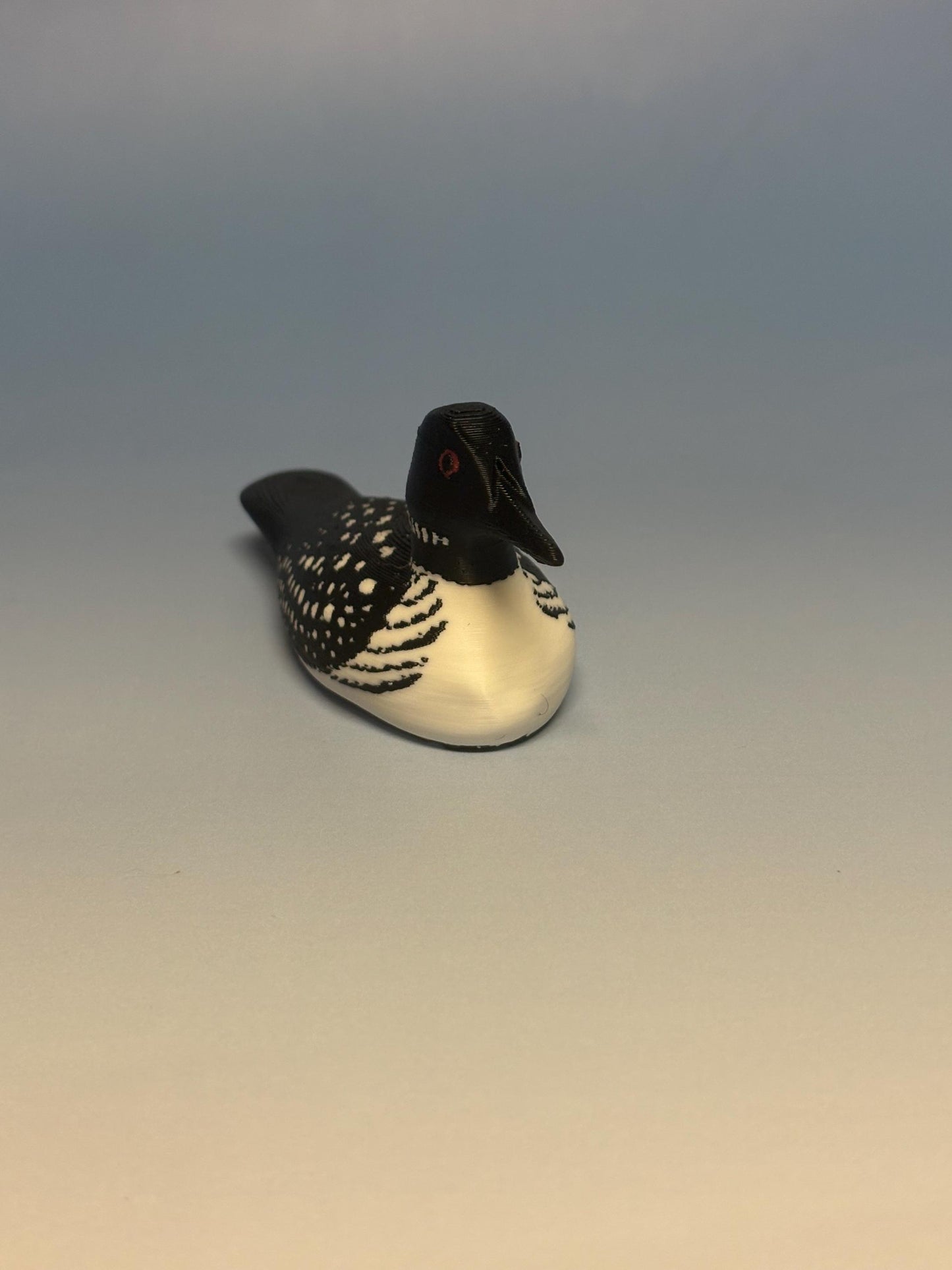 Loon Bookshelf Decor