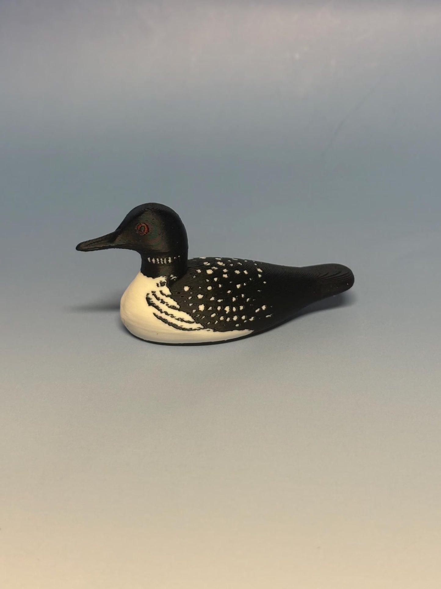 Loon Bookshelf Decor