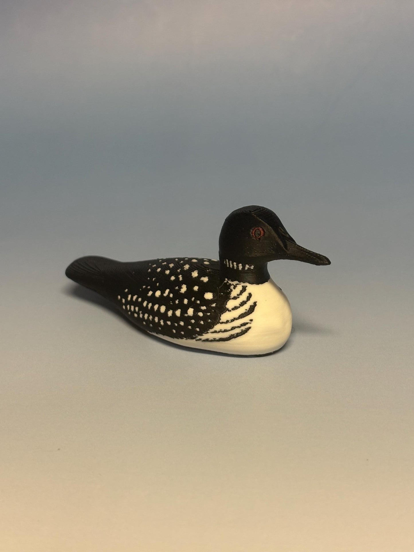 Loon Bookshelf Decor