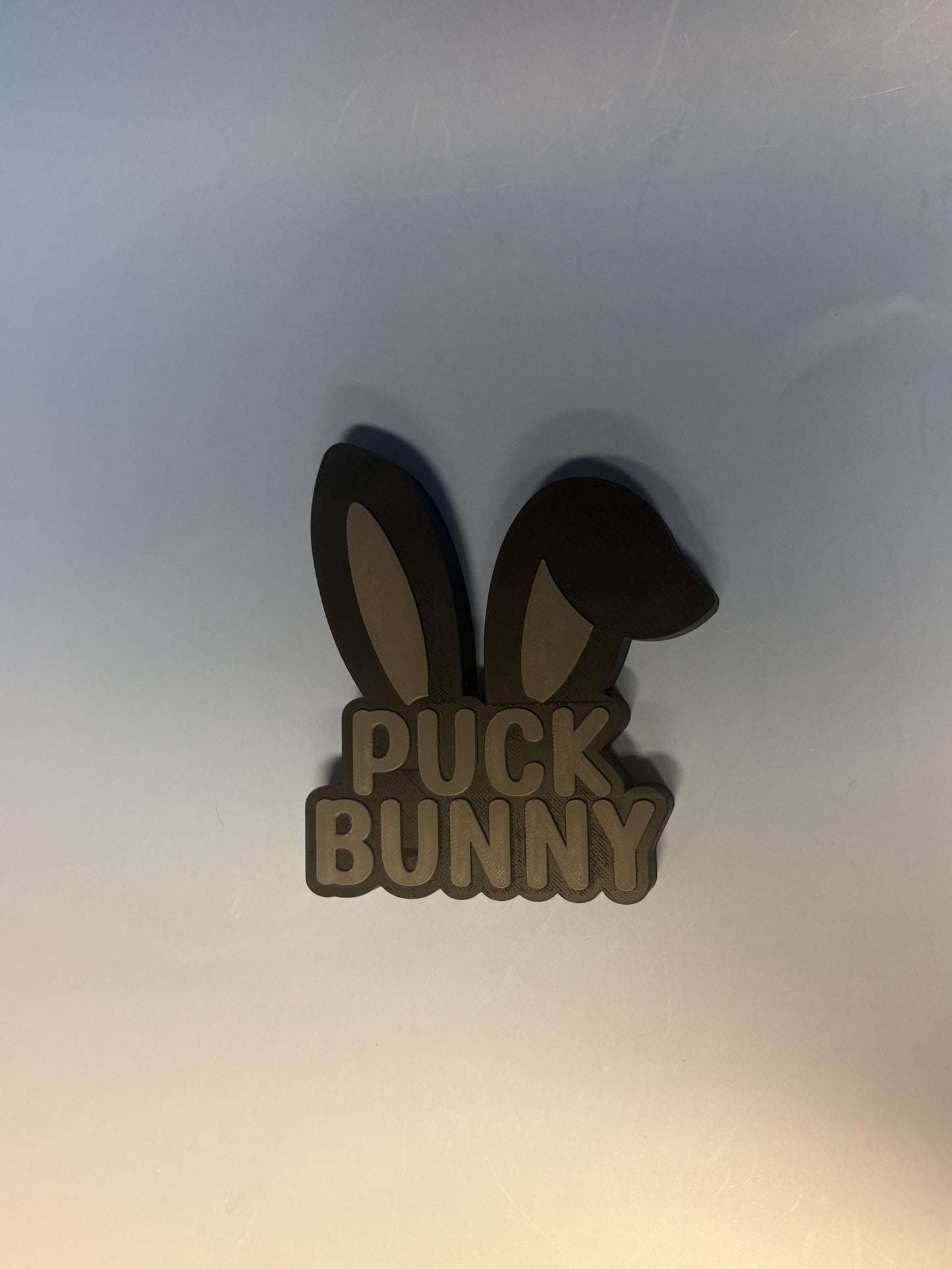 Puck Bunny Shelf Sign
