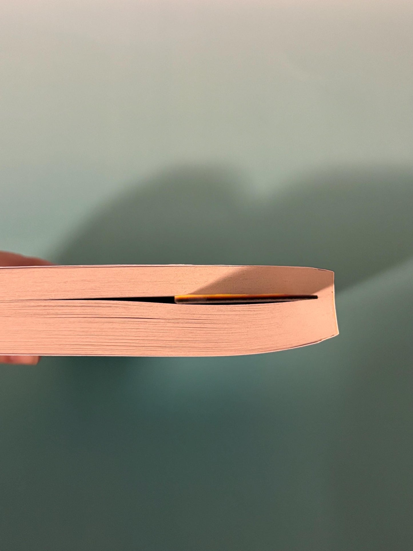 House of Dragons 3d Printed Bookmark